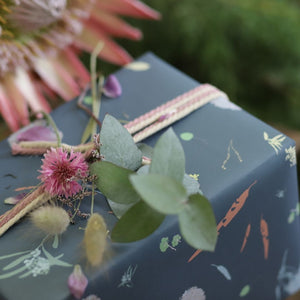 6 pack wrapping paper - Foraged Botanics on Blue
