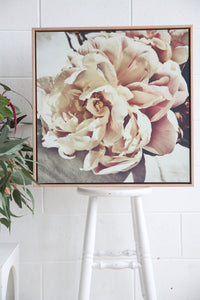 Janet - peony wall print